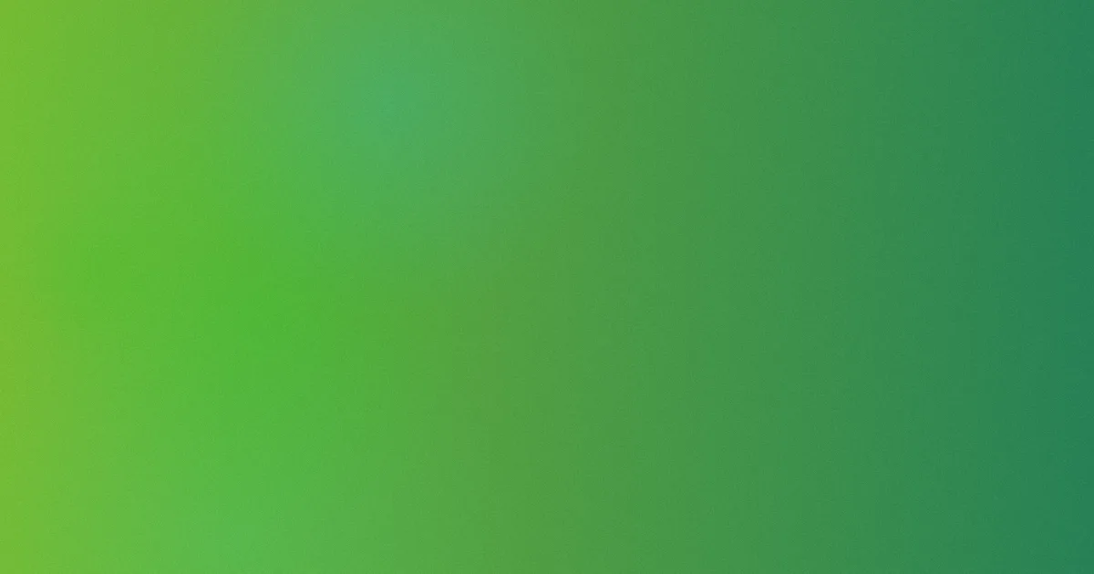 Zora测评：新手最易踩的坑